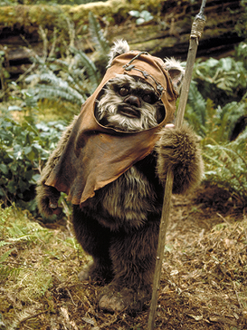 Who Are The Ewoks In Star Wars?