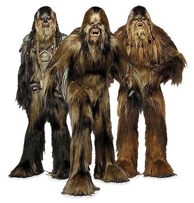 Who Are The Wookiees In The Star Wars Series?