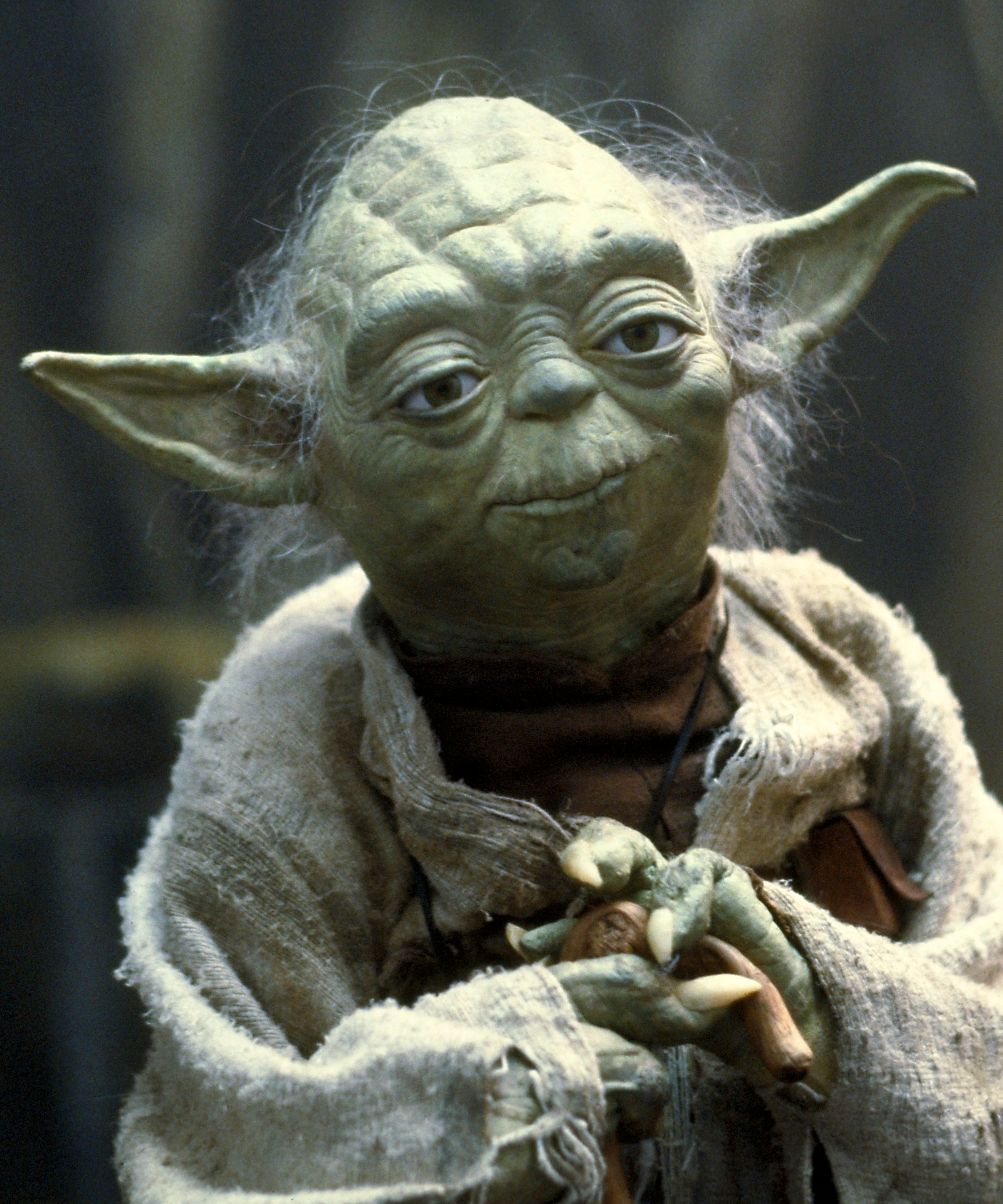 How old is Yoda?