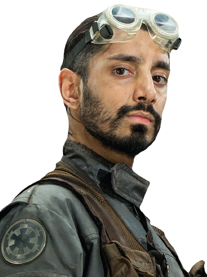 Who Is Bodhi Rook?