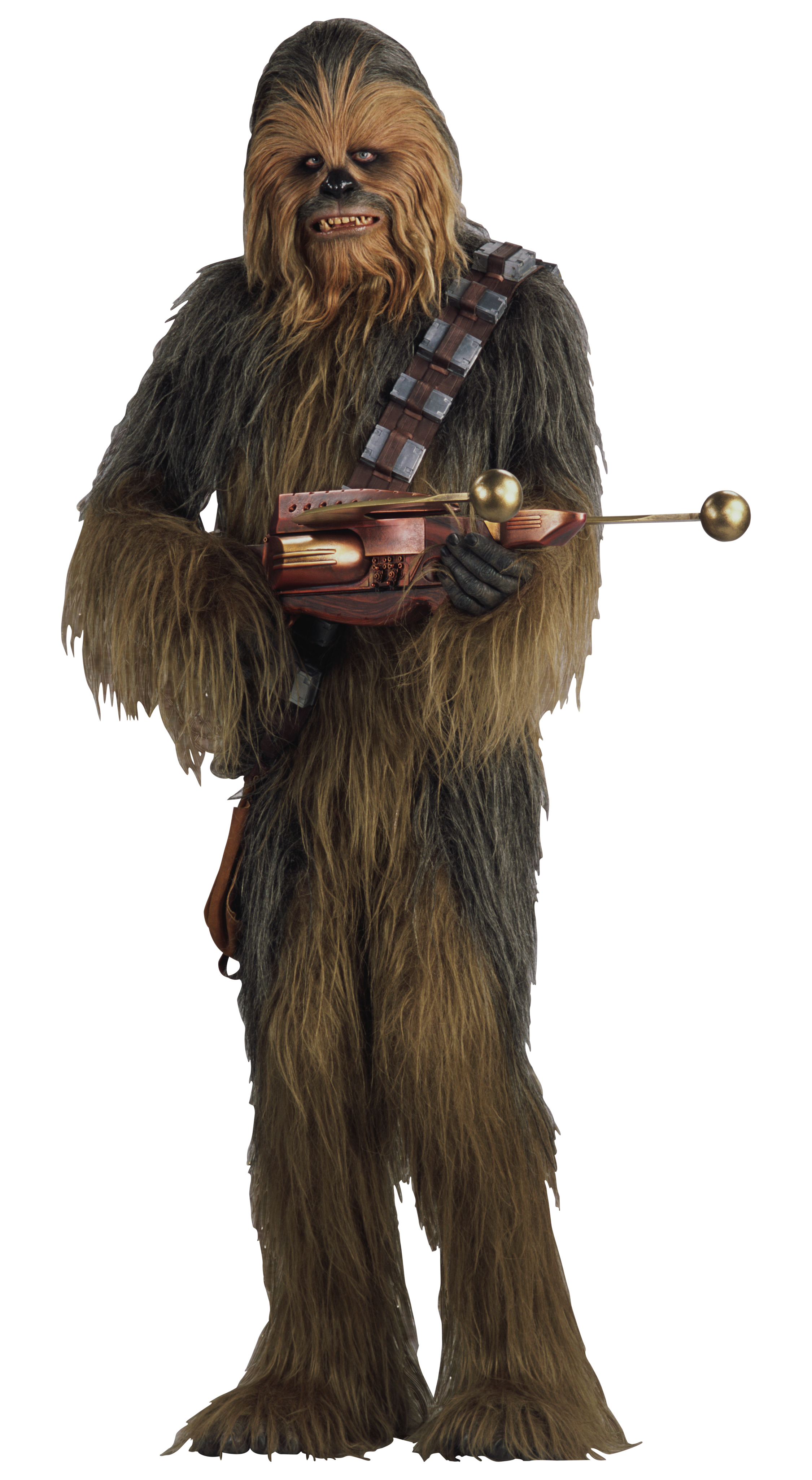 Who are the Wookiees in Star Wars?