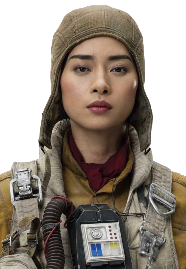 What Is The Significance Of Paige Tico?