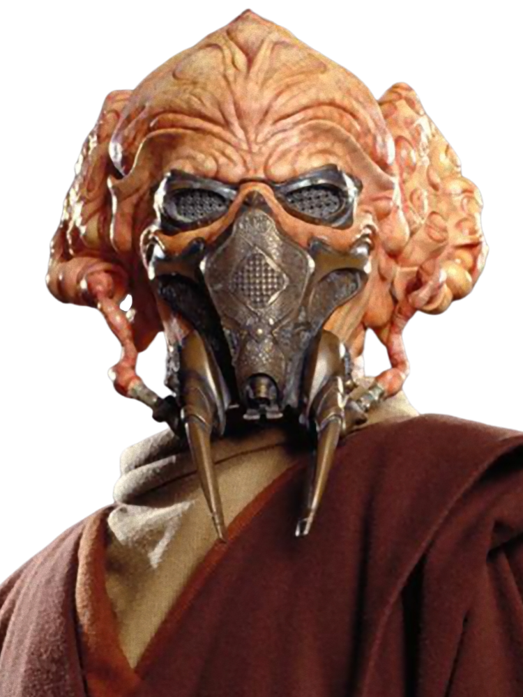 What is the background of Plo Koon?