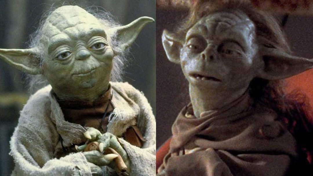 What is the name of Yoda's species?